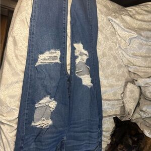 American Eagle Outfitters Classic Blue Denim Jeans